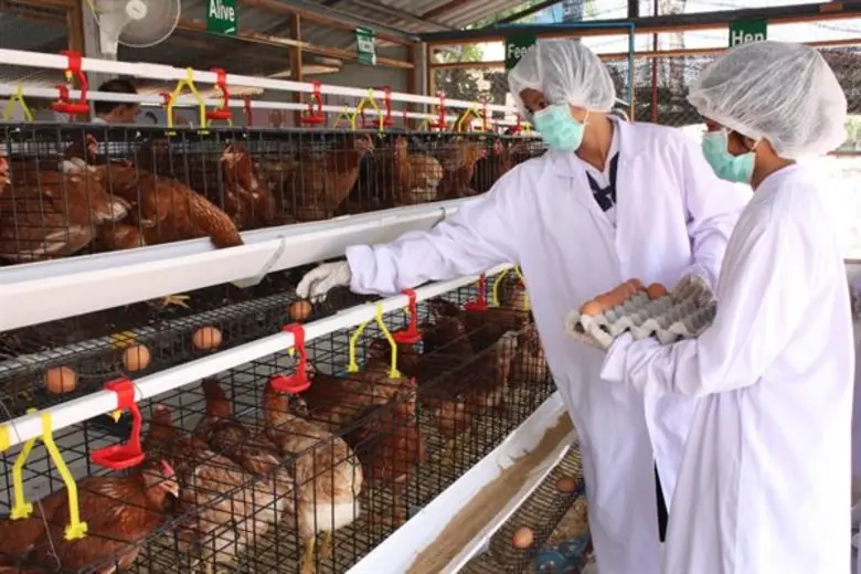 หอการค้าญี่ปุ่น-มูลนิธิพัฒนาชีวิตชนบทฯ-ซีพีเอฟ หนุนนักเรียนเลี้ยงไก่ไข่เพื่ออาหารกลางวัน ปีที่ 18