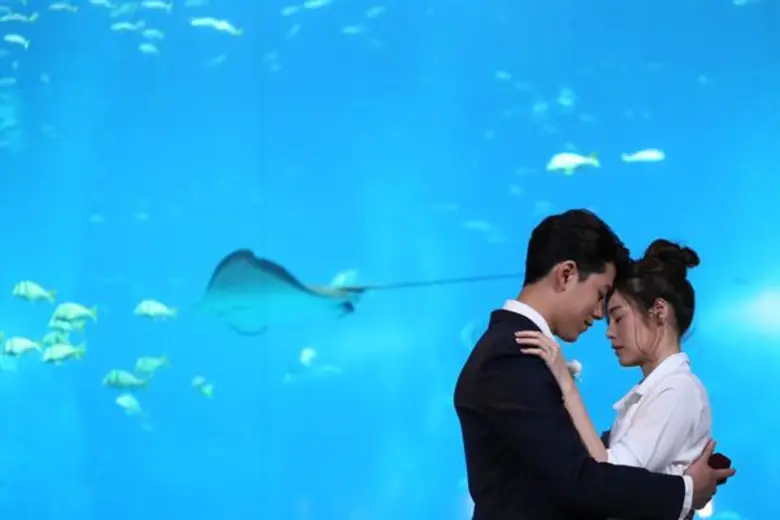 ตอนที่ 13 วันศุกร์ที่ 1 ธันวาคม 2560 ตุล ...