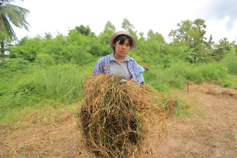 ทีวีไกด์: รายการ “สานรัก คนเก่งหัวใจแกร่ง” วันอาทิตย์ที่ 3 ธันวาคม 2560 ทางแอป AIS PLAY, AIS PLAYBOX และ Youtube sarnrakais