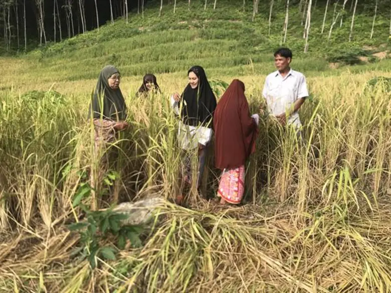 กยท.จ.กระบี่ ปิ๊ง! แนวคิด เชื่อมสถาบันเกษตรกร-ผู้ประกอบกิจการยาง จับมือผลิตรองเท้าแตะยางพาราส่งขาย ผสานต้นน้ำสู่ปลายน้ำ สร้างรายได้เพิ่มมูลค่า