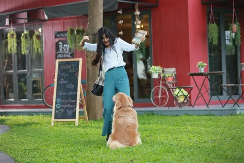 เป็นคู่จิ้นในตำนานที่เคมีเข้ากันสุดๆ สำหร...