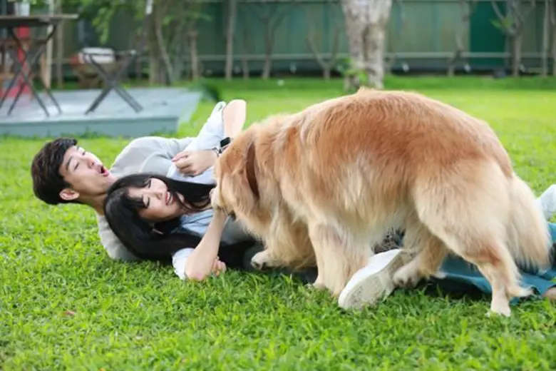 “น้องหมา” เป็นเหตุ “พุฒ-ยิปโซ” โชว์ฉากกอดสุดฟิน!!