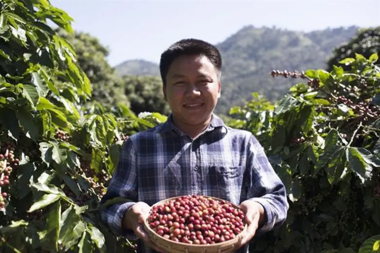 เกษตรคนแกร่งชาวอาข่า ความกล้าที่จะเปลี่ยนและความแกร่งที่ทำให้ประสบความสำเร็จ