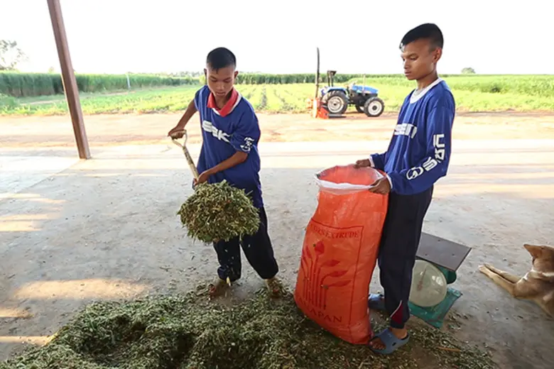 ทีวีไกด์: รายการ “สานรัก คนเก่งหัวใจแกร่ง” วันอาทิตย์ที่ 10 ธันวาคม 2560 ทางแอป AIS PLAY, AIS PLAYBOX และ Youtube sarnrakais