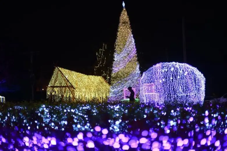 “ศิลป์แสง แห่งแรงบันดาลใจ” (Thailand Illumination Festival 2017) สวนเรืองแสงสุดตระการตา แลนด์มาร์คแห่งใหม่ใจกลางกรุงเทพฯ