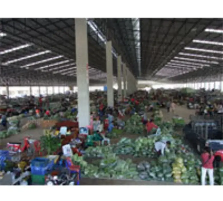 ตลาดศรีเมืองชูสินค้าเกษตรปลอดสารพิษ เปิดต...