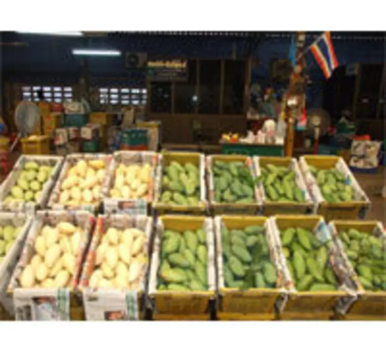 ตลาดกลางราชบุรี ชูสินค้าเกษตรปลอดสารพิษ คุมเข้มผลผลิตเอาใจคนรักสุขภาพ