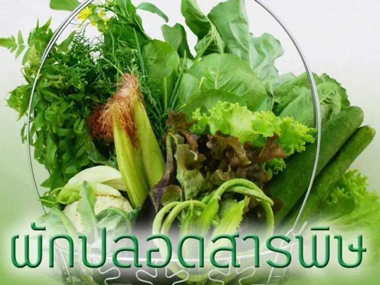 ตลาดกลางราชบุรี ชูสินค้าเกษตรปลอดสารพิษ คุมเข้มผลผลิตเอาใจคนรักสุขภาพ