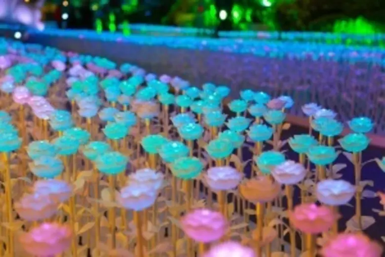 เดอะมอลล์ โคราช สร้างปรากฏการณ์ทุ่งดอกไม้ illumination นับหมื่นครั้งแรกในภาคอีสาน ในงาน “The Mall Shopping Center Joy of Giving Happy Factory”