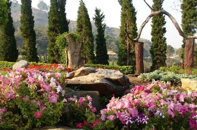 หน้าหนาวนี้ กรมส่งเสริมการเกษตร เชิญชวนเท...