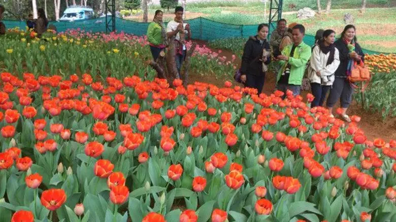 หนาวนี้ เที่ยวศูนย์เกษตรที่สูง จังหวัดเชียงราย