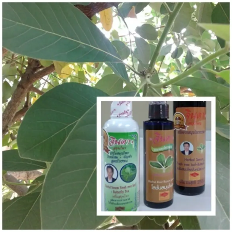 นายไชยกร นิธิคณาวุฒิ ประธานกรรมการบริษัทจ...