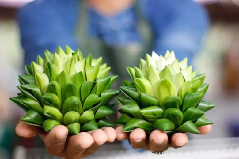 ททท. ผนึกกำลัง มูลนิธิสังคมสุขใจ ขับเคลื่อนท่องเที่ยวเชิงวัฒนธรรมอาหารต่อเนื่อง ปลื้ม คนรุ่นใหม่ตื่นตัววิถีเกษตรอินทรีย์ แห่ร่วมงานสังคมสุขใจล้นหลาม