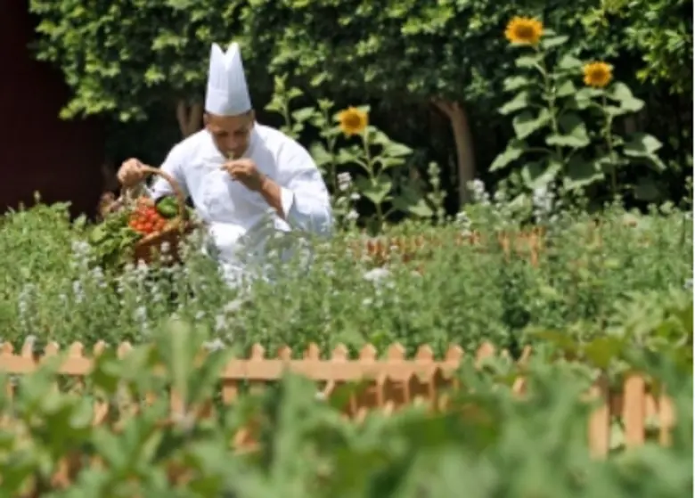 Movenpick Hotels & Resorts named world’s most sustainable hotel group by Green Globe