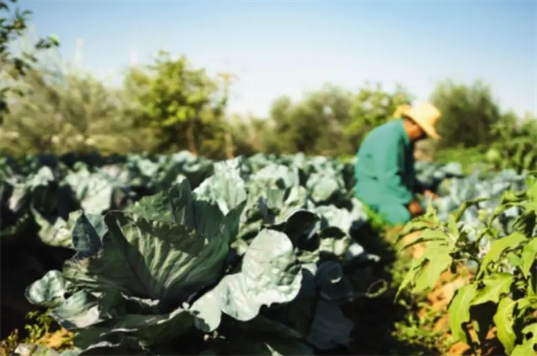 Movenpick Hotels & Resorts named world’s most sustainable hotel group by Green Globe