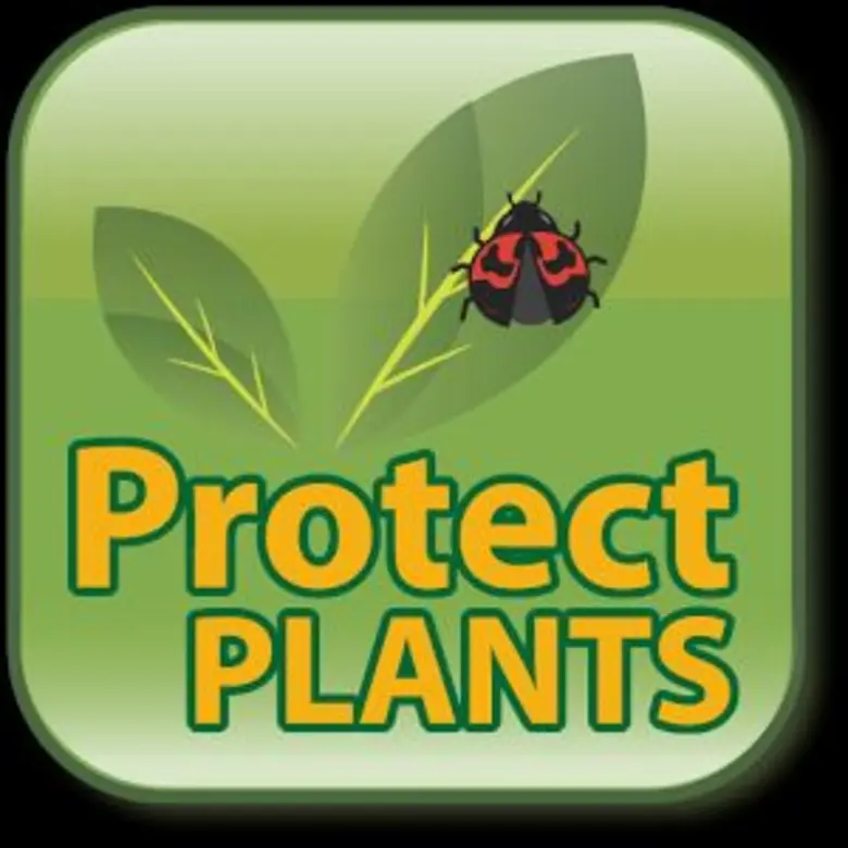 หากสามารถวินิจฉัยศัตรูพืชได้ทันท่วงที ศัต...