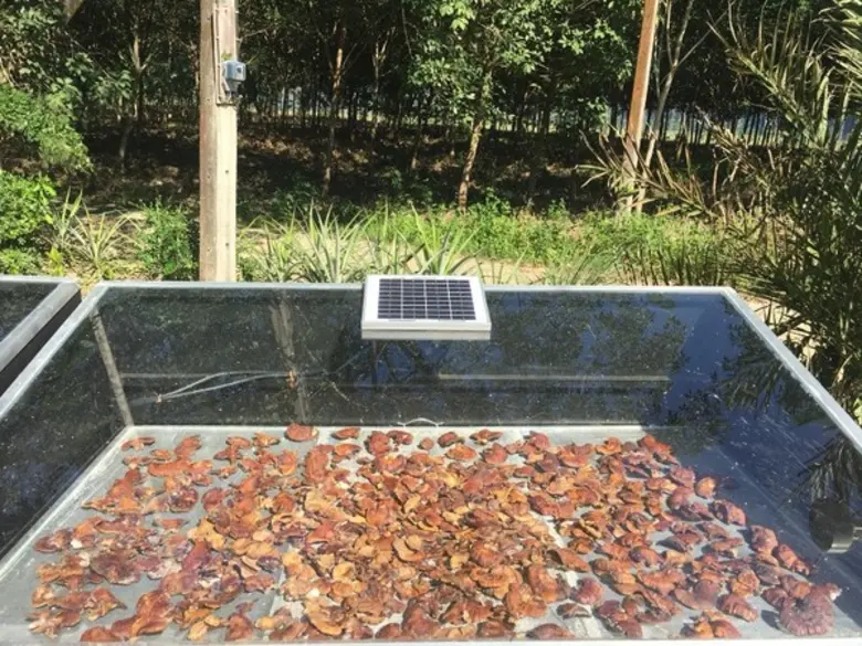 สำนักงานพลังงานจังหวัดประจวบคีรีขันธ์ สนับสนุนเทคโนโลยีพลังงานทดแทน ลดรายจ่าย สร้างรายได้ชุมชน