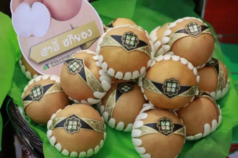 วัชมนฟู้ดจับมือ เอที เซ็นเตอร์ แบงค็อก ส่งลูกพลับและสาลี่สายพันธุ์ดีที่สุดในเกาหลีสู่ไทยตั้งเป้าเติบโตปีหน้า 3,500 ล้านบาท