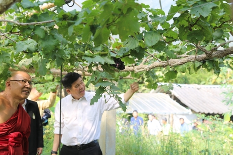 เมื่อสัปดาห์ก่อน ณ ลานวัดโป่งคำ อำเภอสันต...