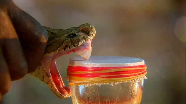 รายการไฮไลต์ทางสถานีโทรทัศน์ PPTV HD ช่อง 36 ประจำวันศุกร์ที่ 29 ธันวาคม 2560