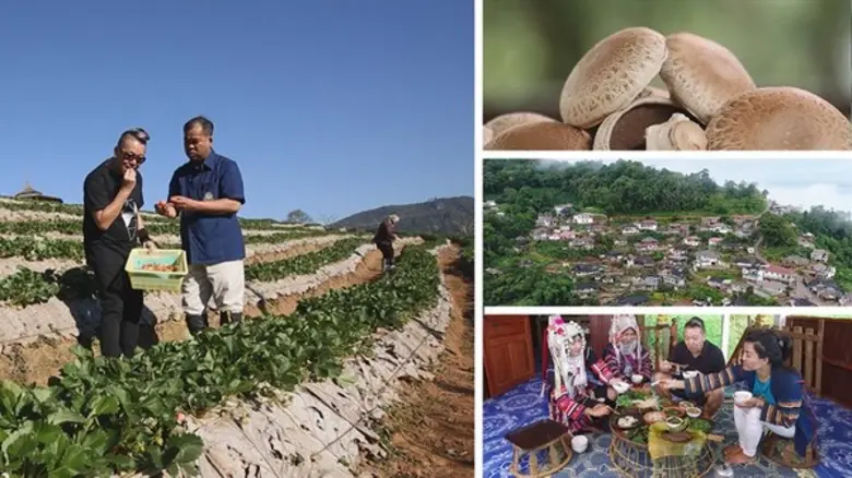 รายการไฮไลต์ทางสถานีโทรทัศน์ PPTV HD ช่อง...