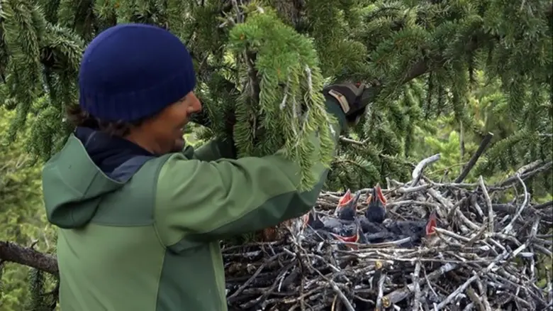 รายการไฮไลต์ประจำวันพุธที่ 27 ธันวาคม 2560 ทาง PPTV HD 36