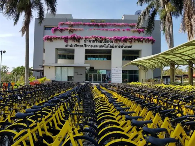 ofo (โอโฟ่) ผู้นำบริการจักรยานสาธารณะอัจฉ...