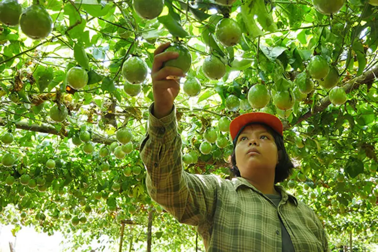 รายการ "สานรัก คนเก่งหัวใจแกร่ง" อาทิตย์น...