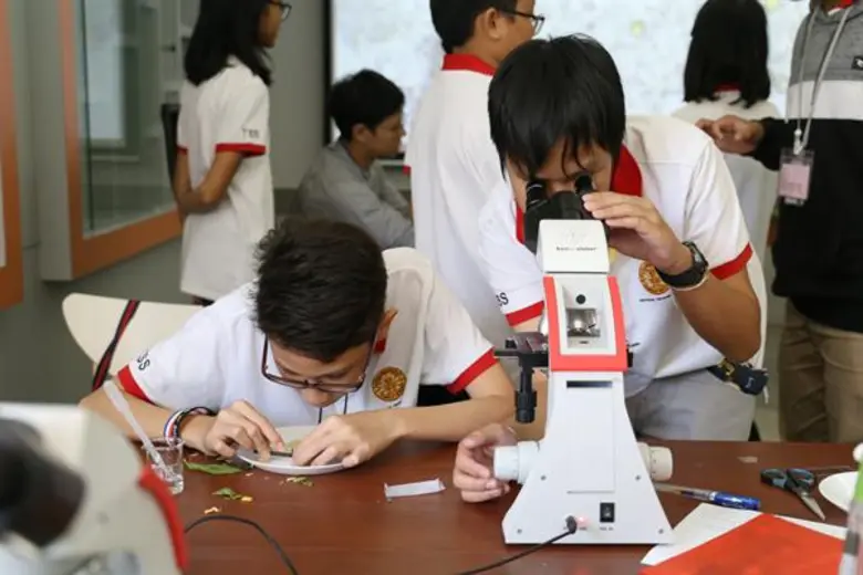 สาธิตธรรมศาสตร์ไม่แยกสอน วิทย์-คณิต ม.1