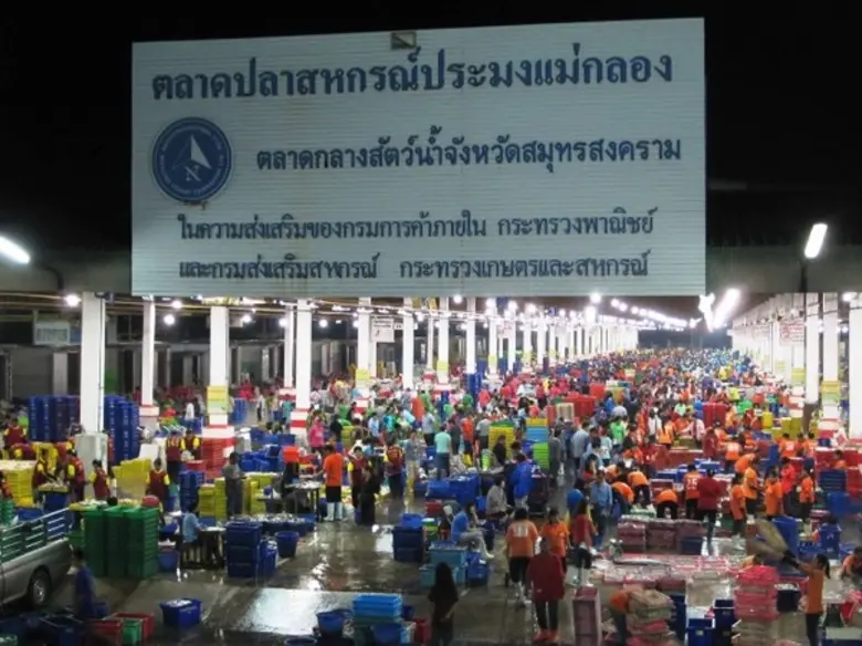 ตลาดกลางสัตว์น้ำ สหกรณ์ประมงแม่กลอง ศูนย์...