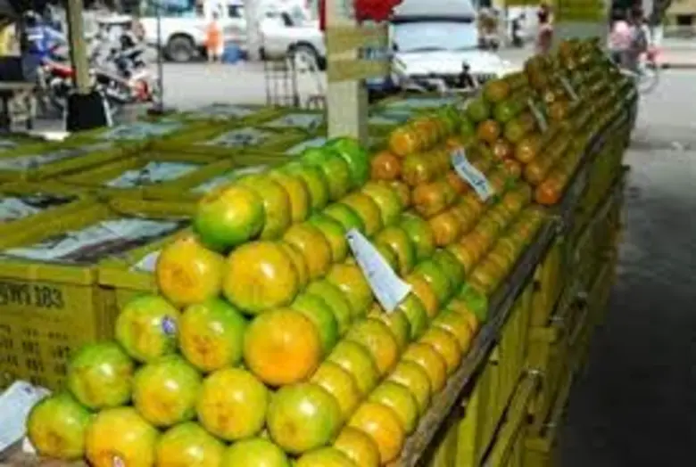 ตลาดสี่มุมเมือง ศูนย์กระจายสินค้าเกษตรทุกมิติ สวรรค์ของเกษตรกร เงินสะพัด 6,000 ล้านบาทต่อเดือน