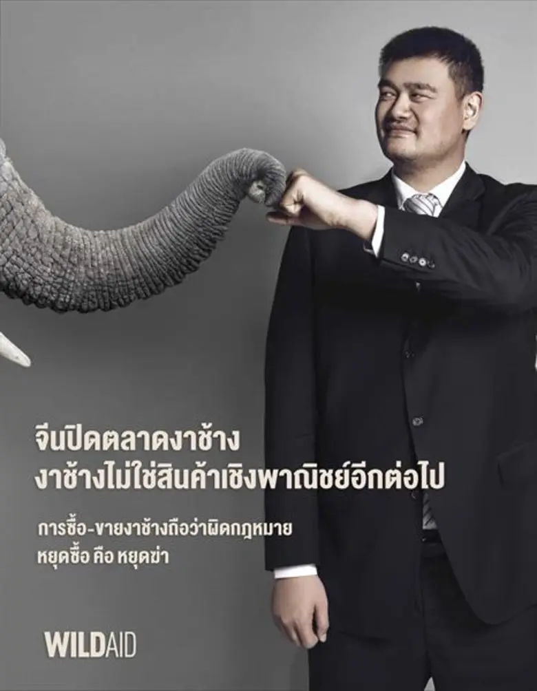 ประเทศจีน ซึ่งเป็นตลาดค้างาช้างผิดกฎหมายท...