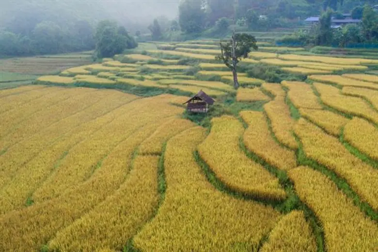 ตามรอยโลเคชั่น 7 ภาพรางวัลประกวดภาพถ่าย “หน้าต่างน่าน”