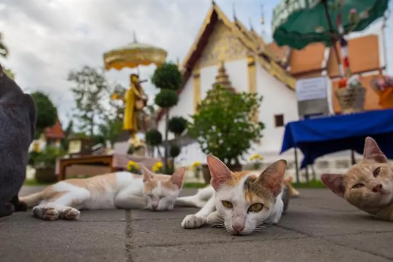 ตามรอยโลเคชั่น 7 ภาพรางวัลประกวดภาพถ่าย “หน้าต่างน่าน”