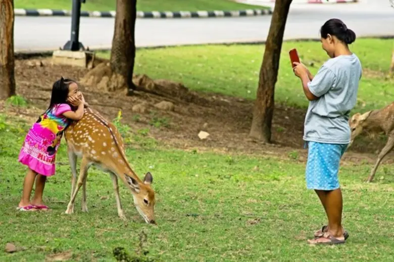สำนักงานพัฒนาพิงคนคร เตรียมจัดกิจกรรมเพื่อเยาวชน เนื่องในวันเด็กแห่งชาติ ประจำปี 2561
