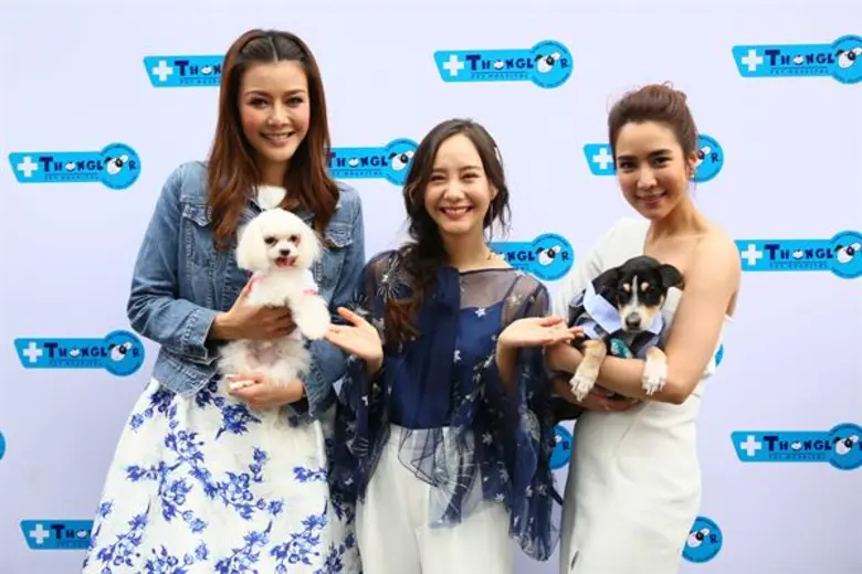 "โรงพยาบาลสัตว์ทองหล่อ" เปิดสำนักงานใหญ่แ...