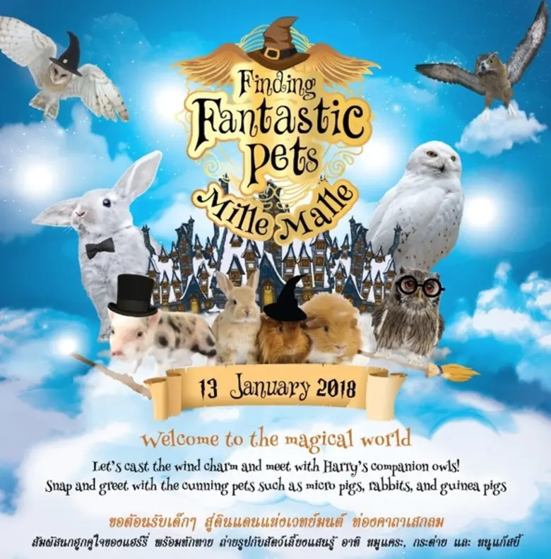 ศูนย์การค้ามิลลี่ มอลลี่ คอมมูนิตี้มอลล์ ...