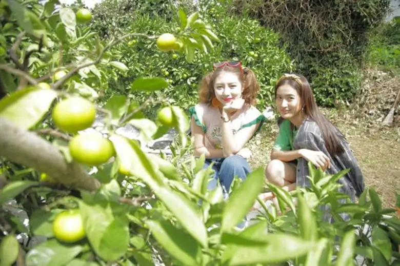 ทีวีไกด์: รายการ “Japan Sweets ภารกิจพิชิตหวาน” มิว-อาย เปิดฉากความหวาน รับปีใหม่ 2561 ที่นางาซากิ ดินแดนแห่งผลไม้ส้มเลื่องชื่อ