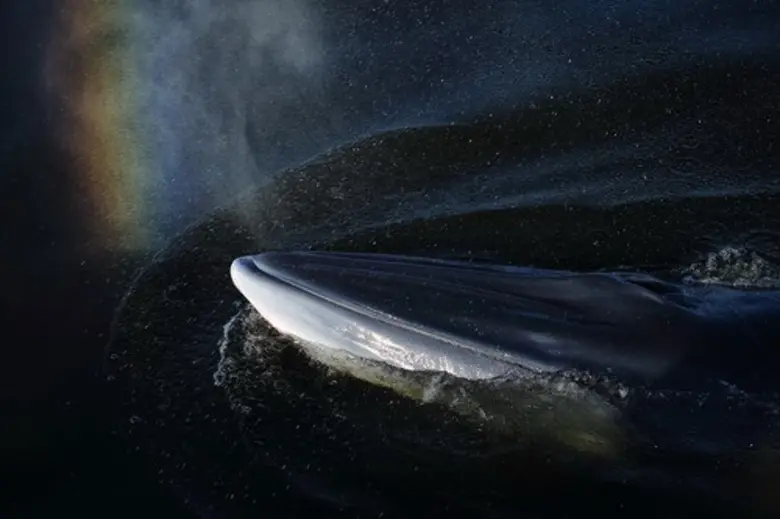 พิธีมอบรางวัล โครงการปลูกจิตสำนึกอนุรักษ์...