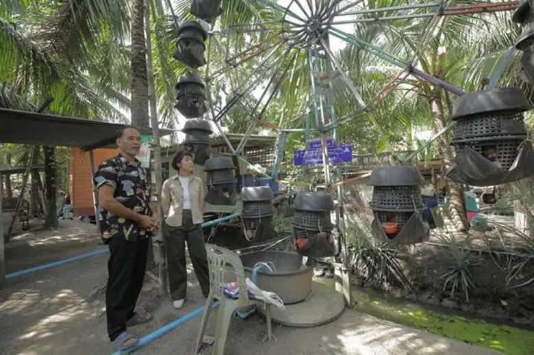 จากพื้นที่ 1 ไร่ ตามหลักเศรษฐกิจพอเพียงขอ...