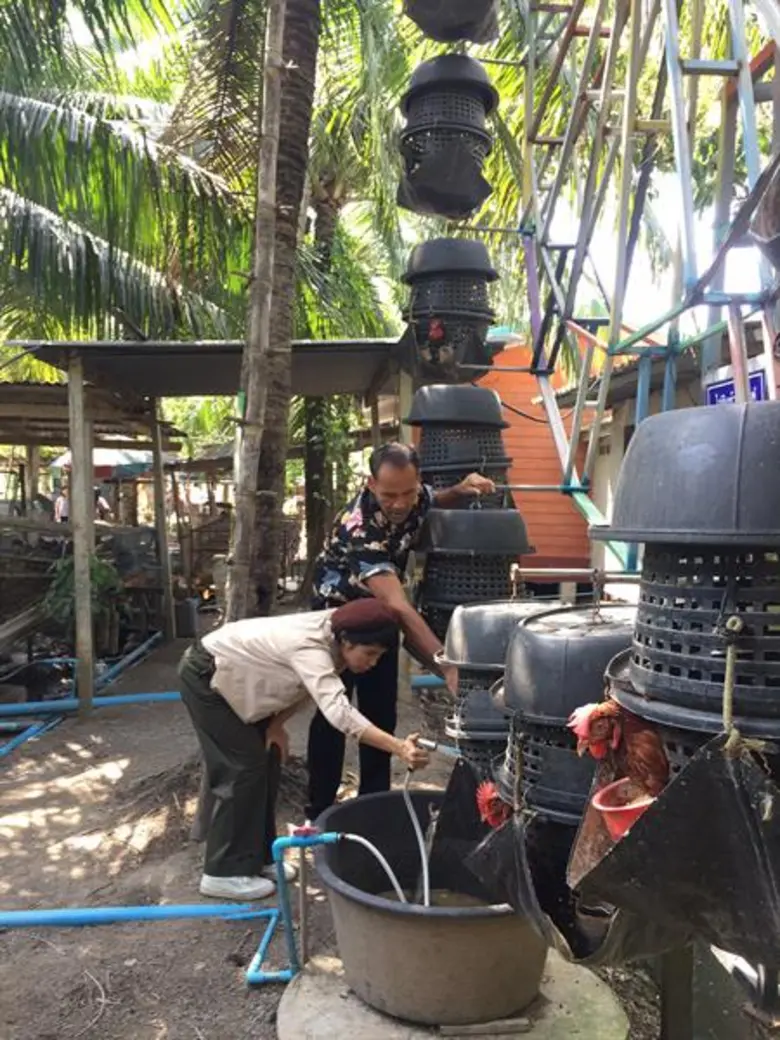 1 ไร่ตามรอยเศรษฐกิจพอเพียง ใน หนองโพ ๙ ตามพระราชปณิธาน สานต่ออาชีพที่พ่อให้