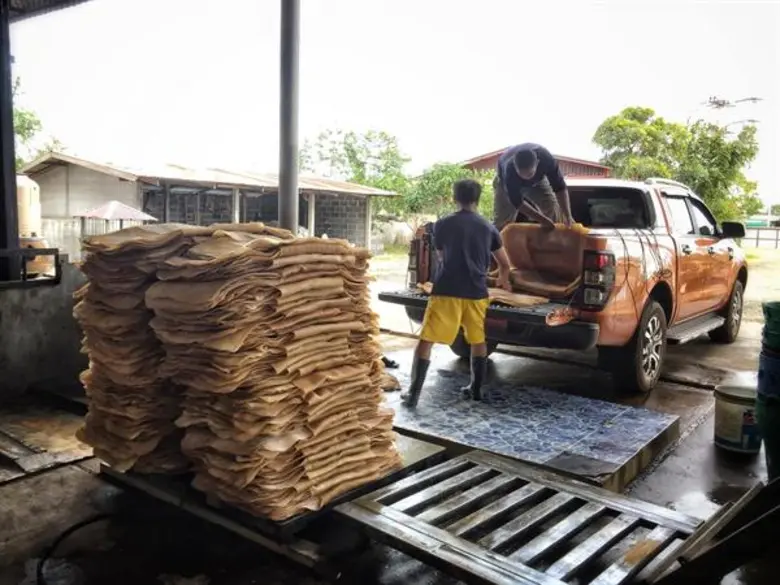 ฟอร์ด ประเทศไทย สานต่อกิจกรรมในแคมเปญ "เก...