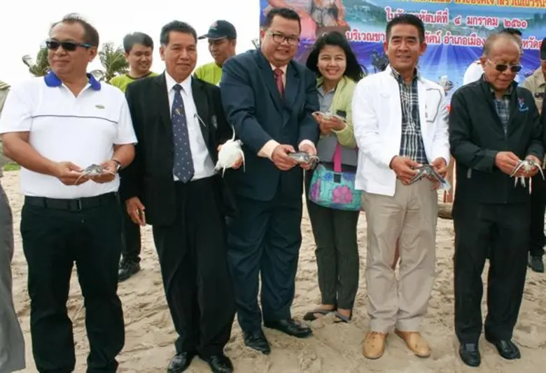 มรภ.สงขลา จับมือทัพเรือ ปล่อยเต่าคืนความสมบูรณ์ธรรมชาติ