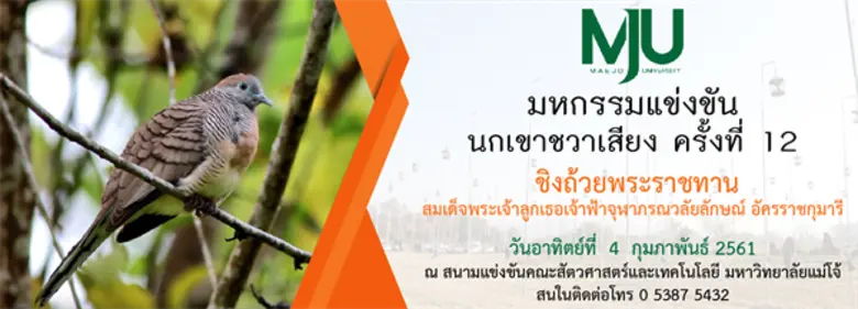 THE 12th BARRED GROUND DOVE COMPETITION F...