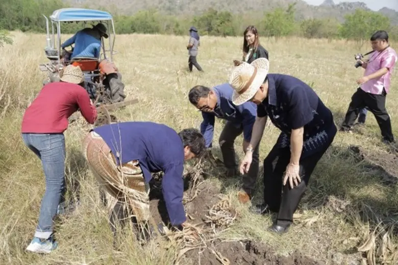 เกษตรเดินหน้าส่งเสริมปลูกพืชสมุนไพรอินทรีย์ ในไร่ทหารสานประชา จ. ลพบุรี