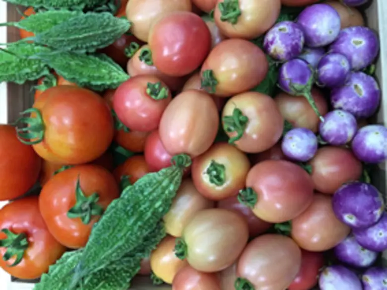 สถาบันวิจัยวิทยาศาสตร์และเทคโนโลยีแห่งประ...