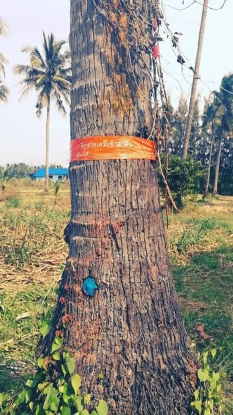 นายวันชัย คนงาม เกษตรจังหวัดเพชรบุรีส่งเส...