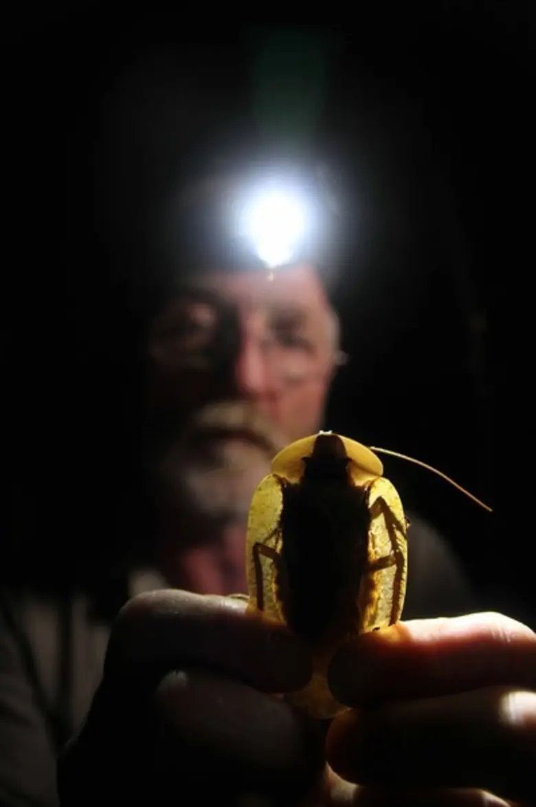 รายการไฮไลต์ทางสถานีโทรทัศน์ PPTV HD ช่อง 36 ประจำวันเสาร์ที่ 20 มกราคม 2561