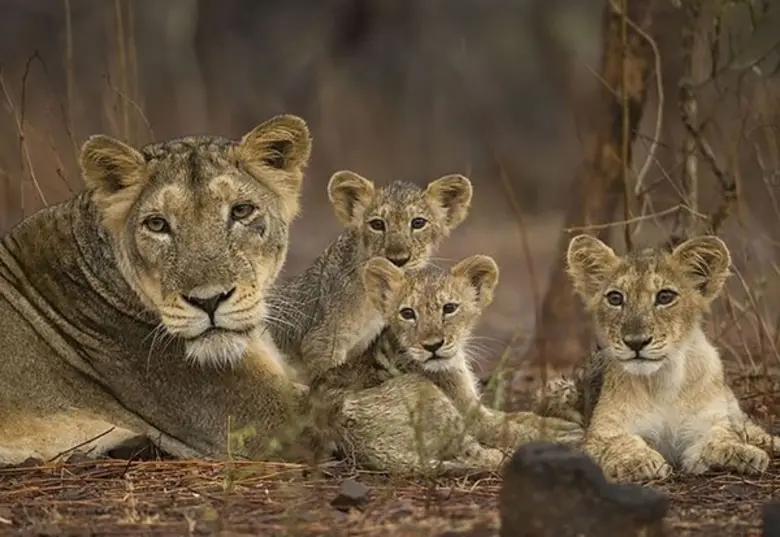 รายการไฮไลต์ทางสถานีโทรทัศน์ PPTV HD ช่อง...