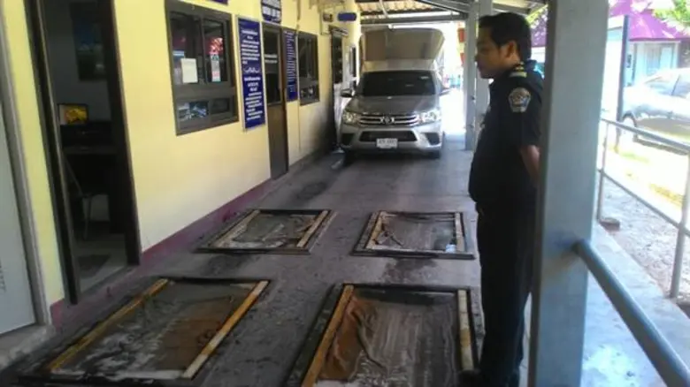 ปศุสัตว์แนะเกษตรกรผู้เลี้ยงสัตว์ปีกรับมือลมหนาว-อากาศแปรปรวน